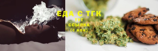 гидра Каменка