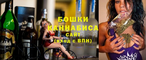 индика Заволжск