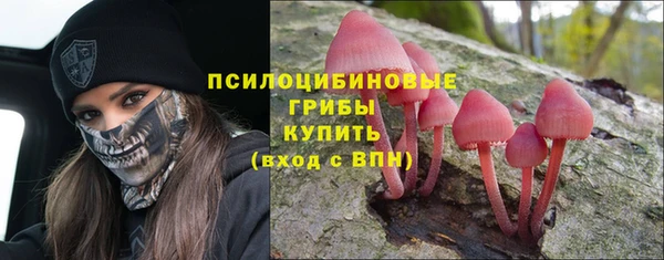 дмт Слюдянка