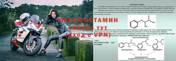 сатива Снежногорск