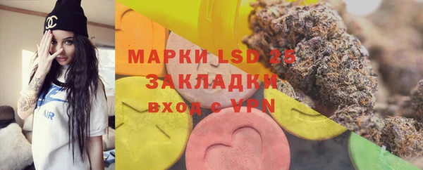 индика Белая Холуница