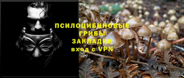 СК Снежинск